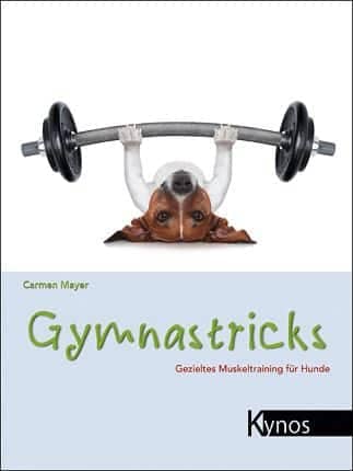 Produktbild Buch Gymnastricks