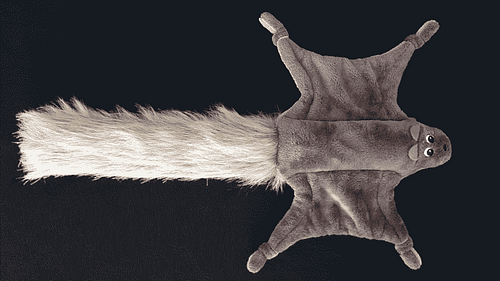havohravo® Gleithörnchen