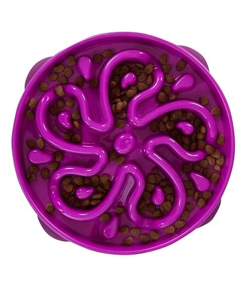 Fun Feeder Slo Bowl